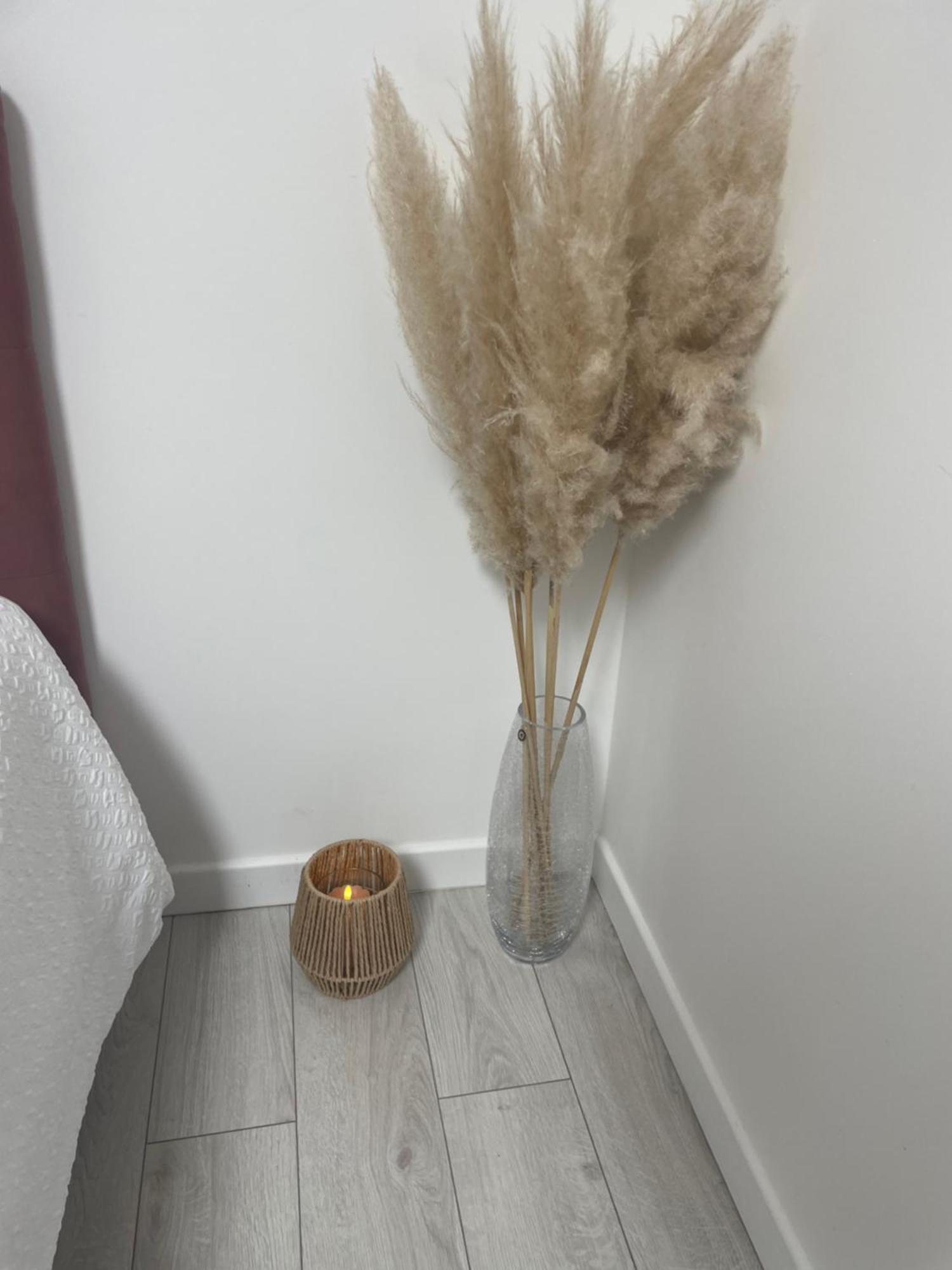 Oasis Spa Pres De Disney Nanteuil-les-Meaux Luaran gambar